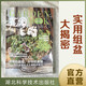 花園MOOK：創(chuàng)意組盆號