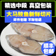 【漁大吉】馬鮫魚(yú)新鮮純中段馬膠魚(yú)深海魚(yú)片真空包裝一夜埕湛江特產(chǎn)禮盒湛江特產(chǎn)5斤/箱