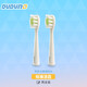 兜兜龍兒童教學(xué)牙刷智能聲波電動(dòng)軟毛呵護D6刷頭 標準潔齒刷頭（兩支裝） 規格