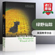 英文原版 綠野仙蹤 The Wonderful Wizard of Oz 柯林斯經(jīng)典文學(xué)系列