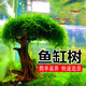森淵（SENYUAN）魚缸造景裝飾莫斯樹迎客松生命之樹水族杜鵑根沉木巴西樹造景魚缸 高12厘米單頭(蘑菇頭直徑8cm)