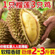 金鮮思【10w+人在搶】泰國金枕榴蓮JD速運新鮮金枕頭巴掌肉 果50年老樹(shù) 精品【2-3斤】單個(gè)
