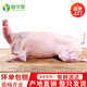 詠華春內(nèi)蒙古草原放養(yǎng)羔羊當(dāng)天宰殺急凍發(fā)貨全羊烤全羊整只送禮優(yōu)選 30斤左右全羊整只