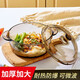 青蘋果家用加厚玻璃碗帶蓋大號(hào)茶色碗泡面湯碗沙拉碗微波爐加熱 【強(qiáng)化加厚】1.0L茶色玻璃煲