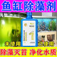 YEE魚(yú)缸除藻劑綠藻去苔劑青苔清除神器除黑毛藻褐藻藍藻除腥臭不傷魚(yú) 1瓶裝（體驗裝）