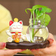 鉑吶苓卡通招財(cái)貓玻璃透明花瓶擺件創(chuàng)意客廳裝飾品綠蘿花瓶插花水培器皿 招財(cái)貓+玻璃瓶