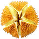 豪優(yōu)樾泰國進(jìn)口金枕頭榴蓮鮮果 新鮮生鮮水果整顆帶殼 精選6-7斤（1-2個(gè)）