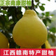 正宗江西南康甜柚早熟柚齋婆柚禮盒裝沙田柚甜不酸柚子 20斤禮盒裝（8-10個(gè)）