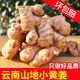 中鮮生 云南小黃姜現(xiàn)挖生姜月子姜 新鮮蔬菜 2025年新姜 小黃姜3斤凈重