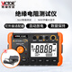 勝利儀器（VICTOR） VC60B+絕緣電阻測試儀 數字兆歐表250V/500V/1000V高壓絕緣搖表 VC60B+【贈適配器】250V/500V/1000V 5GΩ