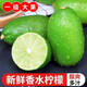 儲(chǔ)褚正宗云南香水檸檬 新鮮塔希提子彈頭無(wú)籽青檸檬 當(dāng)季新鮮水果 3斤裝【4-6個(gè)/斤】
