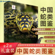 【現(xiàn)貨速發(fā)】現(xiàn)貨速發(fā)正版禮盒裝中國蛇類圖鑒（上下冊(cè)）海峽書局一蛇九圖鱗片黃松 上下全2冊(cè)套裝 中國野生蛇類系統(tǒng)介紹蟒蛇筒蛇眼鏡蛇動(dòng)物蛇類科研愛好者專業(yè)自然科普百科類書籍