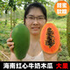 周小貝 海南三亞紅心木瓜新鮮水果牛奶冰糖心青皮木瓜時(shí)令生鮮 5斤裝