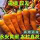 正宗福建永安特產(chǎn)黃椒子彈黃椒現摘新鮮辣椒小黃椒黃辣椒 新鮮黃椒1斤