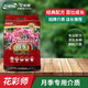 花彩師大包營(yíng)養月季土杜鵑球根庭院養花鐵線(xiàn)蓮種植專(zhuān)用土綠植家用通用型 月季專(zhuān)用介質(zhì)28L