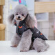 SLPC狗狗衣服中小型犬冬季棉衣泰迪背心幼犬博美馬甲比熊柯基法斗衣服 黑色 XL（適合約8到12斤）