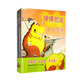 便便恐龍系列（套裝全6冊）