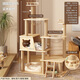皇家派特大型實(shí)木貓爬架貓窩貓樹(shù)一體四季通用貓架子貓跳臺貓抓板貓咪用品 M5實(shí)木板材+爬柱【帶爬梯】