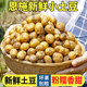 恩施小土豆新鮮馬鈴薯富硒農(nóng)家黃心洋芋現(xiàn)挖蔬菜馬鈴薯 9斤 小果 乒乓球大小左右