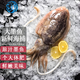 七冰東 墨魚(yú) 新鮮海捕大墨魚(yú)冷凍墨魚(yú)墨斗魚(yú)火鍋食材海鮮水產(chǎn)生鮮軟足類(lèi) 4只裝（500-700g/只）