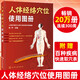 人體經(jīng)絡穴位使用圖冊 徐平 中醫(yī)針灸學會推薦 14張經(jīng)絡圖和穴位定位 防病治病詳解表 贈百種疾病快速取穴表 化學工業(yè)出版社