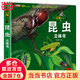 【當當童書】揭秘立體翻翻書系列共4冊恐龍昆蟲海洋太空中國科普兒童3D立體書3-6-9歲翻翻書寶寶啟蒙籍繪本早教故事書 【3d立體大開本】--昆蟲