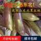 林中山 【順豐發(fā)貨】東北花茄子新鮮蔬菜燒烤面包茄子特產(chǎn)農(nóng)家青茄子 5斤