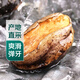 【扭扭鮑】鮮活大鮑魚1只（8-10頭/500g）