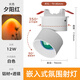 歐普照明（OPPLE）網(wǎng)紅夕陽日不落射燈嵌入式家用玄關(guān)氛圍明裝臥室洗墻燈破曉藍射燈 嵌入式-可旋轉(zhuǎn)折疊白殼12W夕陽
