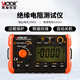勝利儀器（VICTOR）數字兆歐表 絕緣電阻測試儀 1000/5000/2500V高壓搖表 VC60F