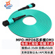 輝宏時(shí)代MPO-MPO/LC光纖跳線(xiàn)8芯12芯24芯MTP多模跳纖萬(wàn)兆40G100G光模塊用集束光纖線(xiàn) MPO-MPO8芯40G（OM3-300） 1米