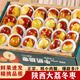 橙小士陜西大荔新鮮冬棗新鮮水果紅脆棗現(xiàn)摘現(xiàn)發(fā)蜜棗子孕婦水果整箱 正宗冬棗5斤單果15-20g【大果】