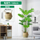 百動(dòng)龜背竹仿真大型綠植盆栽辦公室內(nèi)假花卉仿生植物樹擺件裝飾1.6米