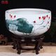京茂景德鎮陶瓷花盆陽(yáng)臺盆栽綠蘿盆養金魚(yú)缸烏龜缸荷花盆睡蓮碗蓮花盆 荷塘月色【送底座】 陶瓷 特大號聚寶盆51cm-有孔