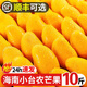 海南小臺(tái)農(nóng)芒果新鮮2025現(xiàn)摘小臺(tái)芒應(yīng)當(dāng)季熱帶水果特產(chǎn)芒果 9斤大果【單果80-120g】