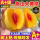 山姆大叔 黃桃桃子新鮮 脆桃蜜桃 蒙陰黃油蟠桃新鮮桃子水果禮盒 黃金油桃】特級110g+ 5斤【80%選擇暢享】?jì)糁?.5斤