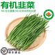 諸氏橙品【有機】韭菜 云南新鮮現(xiàn)摘韭菜 高原應(yīng)季葉菜 生鮮有機蔬菜 【有機韭菜】1.2KG，嘗鮮