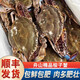 舟山海鮮水產(chǎn)新鮮野生冷凍梭子蟹超大公蟹白蟹飛蟹母蟹海捕螃蟹 1斤——（4-6兩/只，共2-3只）