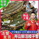 【活蟹】浙江舟山特大梭子蟹鮮活螃蟹新鮮白蟹公蟹海蟹海鮮蟹類 【活蟹】大蟹4斤裝共9-12只 充氧氣+冰袋+木屑+泡沫箱鎖鮮