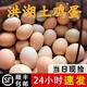 羅春燕湖北洪湖土雞蛋雞蛋笨雞蛋柴雞蛋農家散養正宗新鮮現撿營(yíng)養 土雞蛋40枚