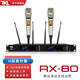 TKL RX-80專(zhuān)業(yè)真分集無(wú)線(xiàn)話(huà)筒一拖二U段調頻家庭KTV麥克風(fēng)戶(hù)外舞臺演出大合唱主持會(huì )議室卡拉O RX-80 香檳金