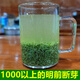 睦思 信陽正宗毛尖明前斷尖碎芽2025新茶葉綠茶散裝茶沫濃香型 500g