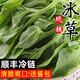 農(nóng)大姐妹順豐速運(yùn) 新鮮冰菜 冰草  新鮮蔬菜現(xiàn)摘冰葉 冰花 即食沙拉菜 2斤