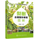 果樹(shù)合理整形修剪圖解系列：梨樹(shù)合理整形修剪圖解（雙色印刷、圖片豐富、實(shí)用）