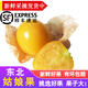 辰實(shí)【順豐發(fā)貨中】東北菇娘果新鮮 黃姑娘果 燈籠果菇?jīng)龉?3斤【現(xiàn)摘出發(fā) 順豐快遞】推薦
