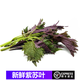 桃李村【順豐】新鮮紫蘇葉 做魚去腥提香香料蘇子葉龍蝦魚蝦蟹調(diào)料 250g