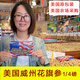 MCA美國(guó)花旗參進(jìn)口西洋參段花旗參片整枝西洋參 113g美國(guó)原包裝 花旗參切片