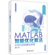 MATLAB智能優(yōu)化算法：從寫代碼到算法思想