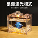 AIPHAROW積木魚缸泰國斗魚小魚缸小型海藻球盒積木式微景觀創(chuàng)意魚缸斗魚盒 普通透明裸1個(gè)