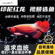 純血印尼紅龍魚活魚大湖赤血辣椒紅龍練手魚苗熱帶大型高端觀賞魚 超血紅龍【16-18cm】視頻看魚